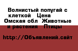 Волнистый попугай с клеткой › Цена ­ 500 - Омская обл. Животные и растения » Птицы   